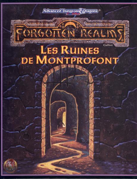 TSR Donjons et Dragons Archive: Les Ruines de Montprofont